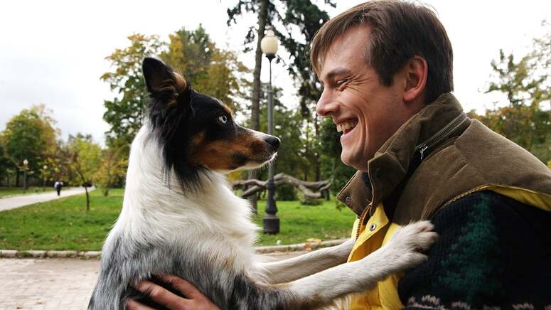 Русские фильмы про собак