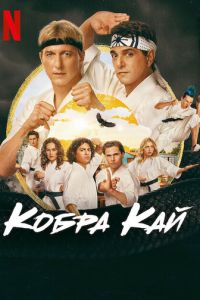 Кобра Кай 2 сезон